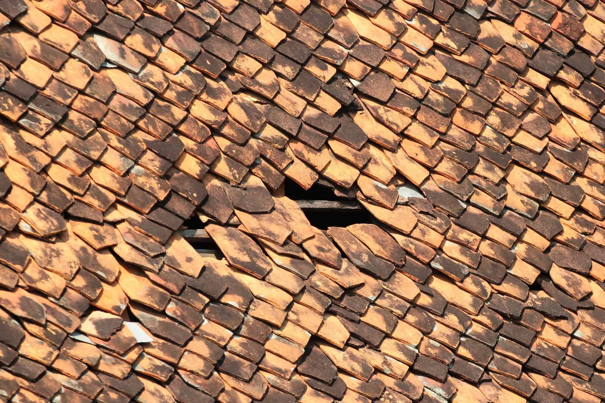 Dragon Elite Roofing roof repair