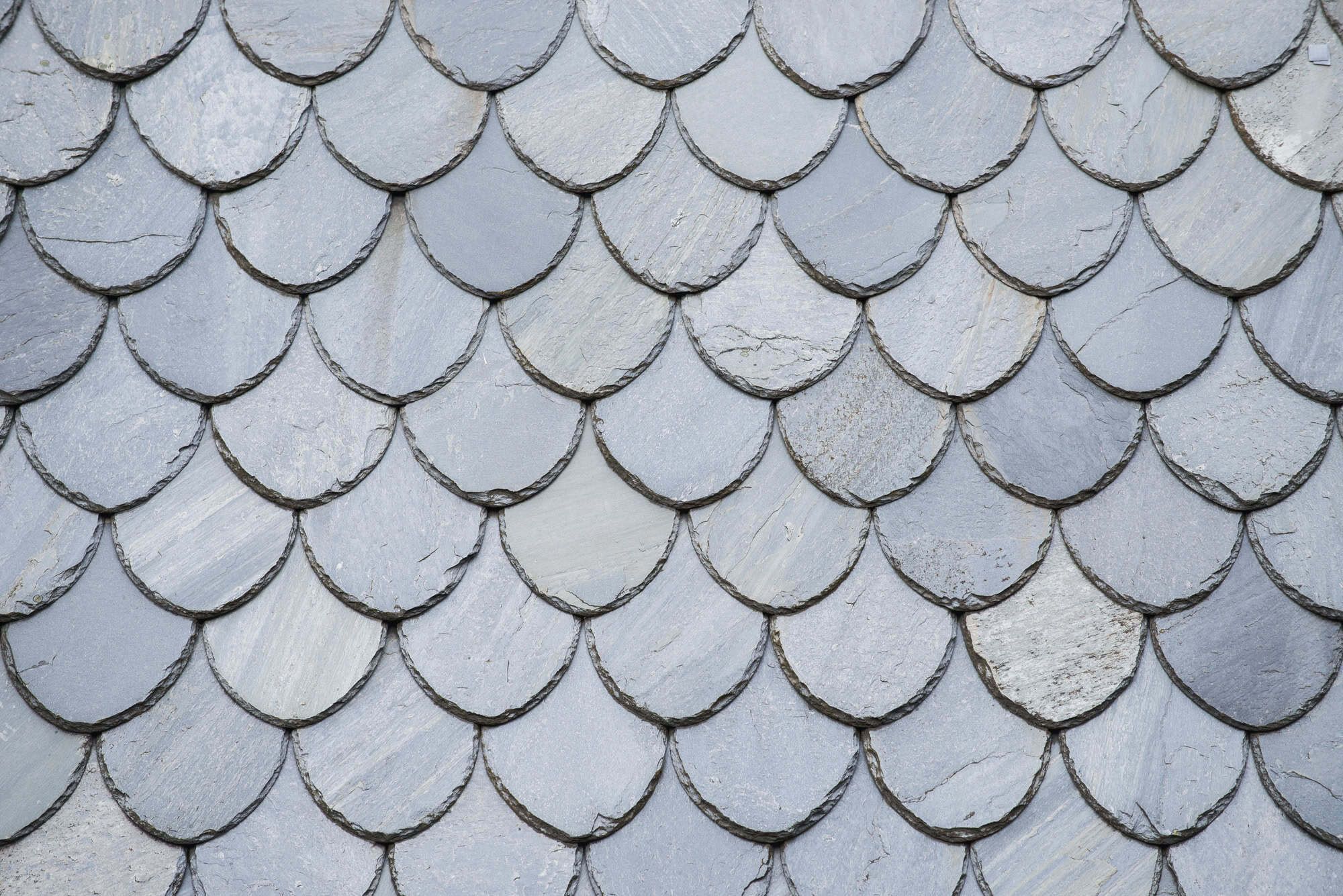Dragon Elite Roofing & Plastics slate roof photo